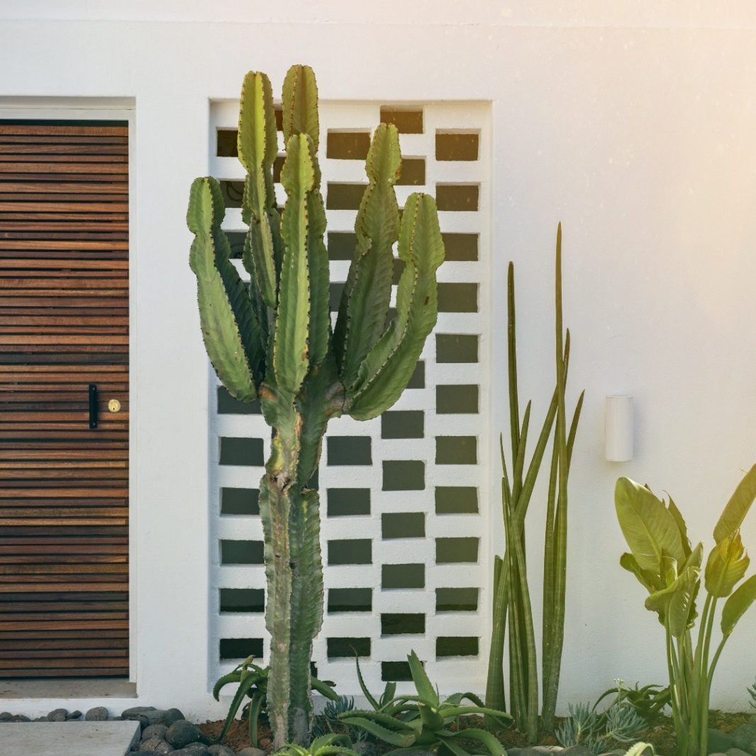 Contemporary Minimalist Garden