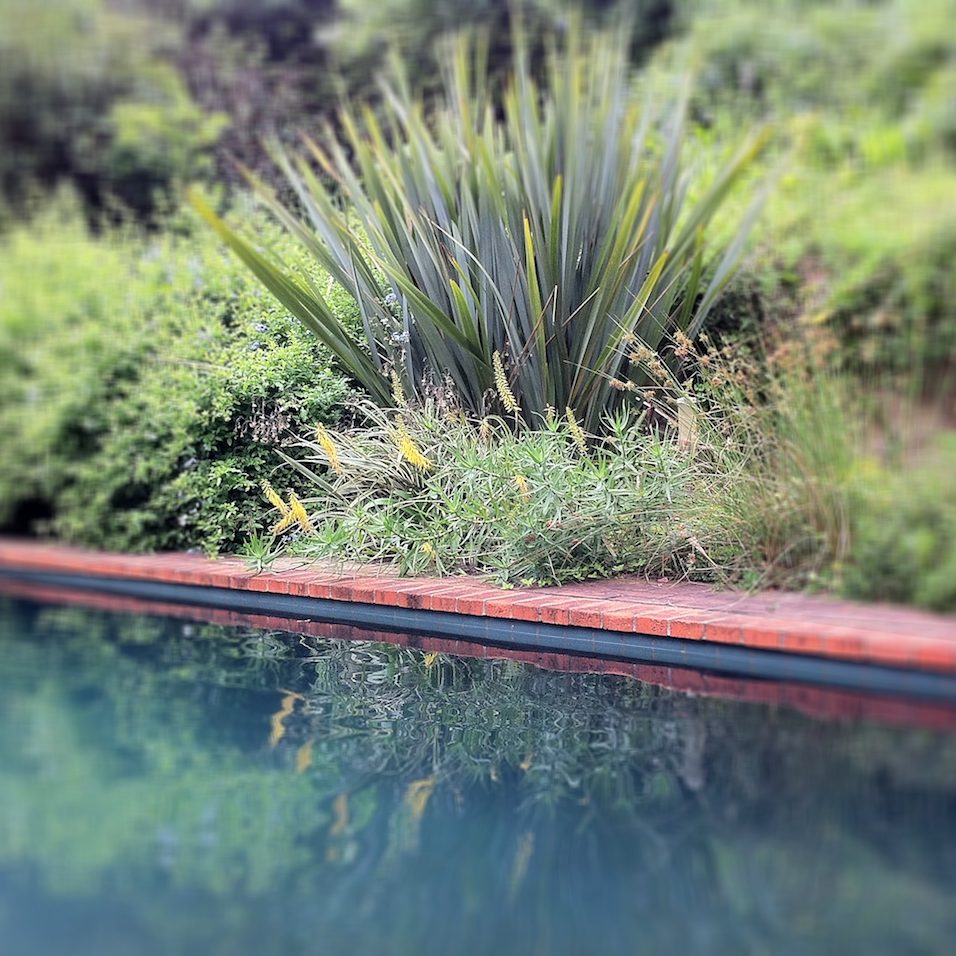 Reflective Pool